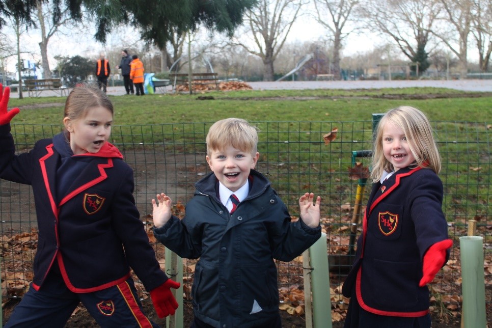 planting hornbeams with Teratrees